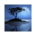 Moonlit Reflection