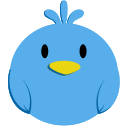 Funny Birds HD Wallpapers New Tab Theme