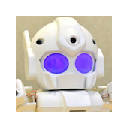 Rapiro Controller 1