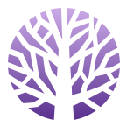 Lavender Flower HD Wallpapers New Tab Theme Lavender Flower HD Wallpapers New Tab Theme