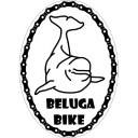 belugaboard – Club Stats for all