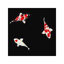 KOI Wallpapers New Tab Theme