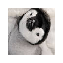 Baby Animals Wallpapers New Tab