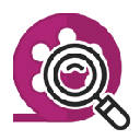 Video Seeker – Find Videos in a single click Video Seeker – Find Videos in a single click