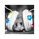 Cute Hamsters Tab