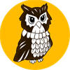 Productivity Owl
