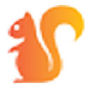 Proj Squirrel