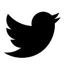 Tailored Audiences ( Twitter ) Extractor Tailored Audiences ( Twitter ) Extractor