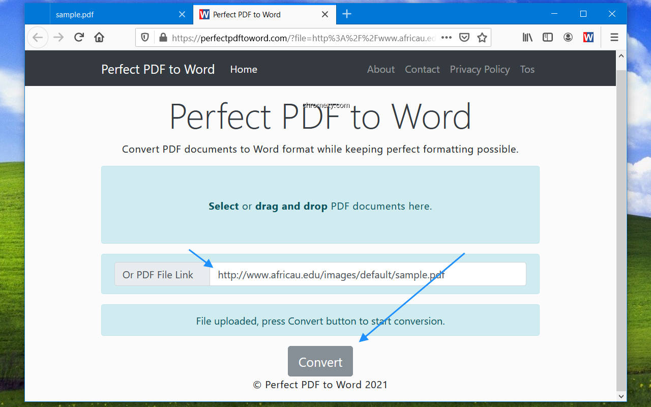 【图】Perfect PDF to Word Converter(截图 1)