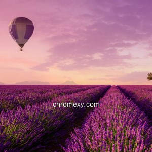 Purple Color HD Wallpapers New Tab Purple Color HD Wallpapers New Tab