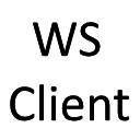 Web Socket Client