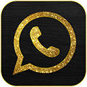 WhatsPro12 – Send Bulk WhatsApp Messages