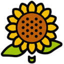 Tournesol Extension