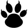 Cat Lovers Backgrounds Cat Lovers Backgrounds