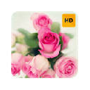 Pink Roses Wallpaper HD New Tab Theme©