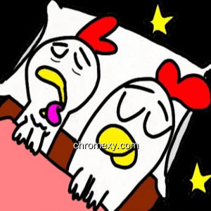 Time for The Chickens to go to Sleep