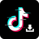 TikTok Downloader – Download Video TikTok