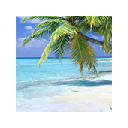 Beach Wallpapers Beach New Tab HD
