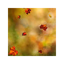 Autumn Leaves Wallpapers Theme New Tab