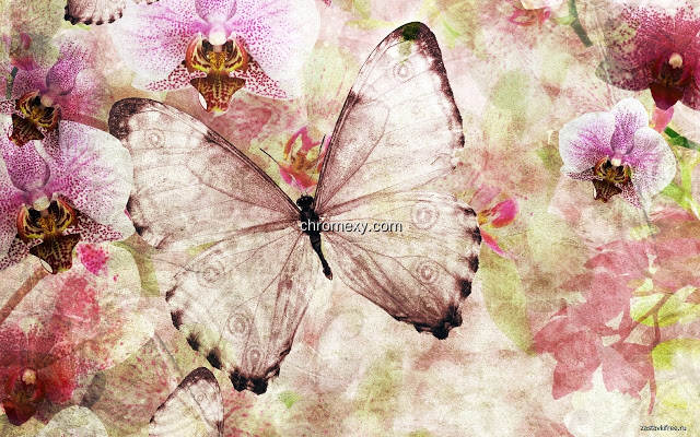 【图】Butterfly(截图1)