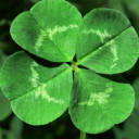 Lucky – Lucky88 Lucky – Lucky88
